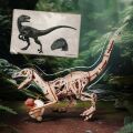 RoboTime Mechanisches 3D-Puzzle aus Holz Velociraptor